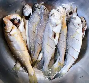 Make Vacuated yellowfish step 2