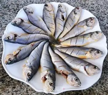 Make Vacuated yellowfish step 4