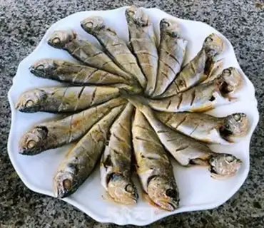 Make Vacuated yellowfish step 7