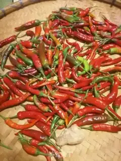 Make Pepper step 0