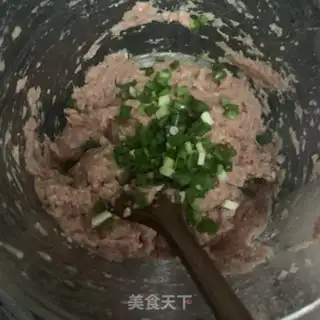Make Frozen meat pot sticker step 4