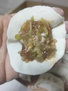 Make Pork, shrimp, dumpling step 16