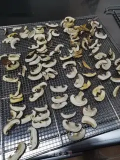 Make Mushroom powder step 3