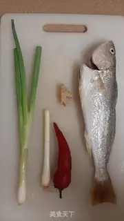 Make Vacuated yellowfish step 0