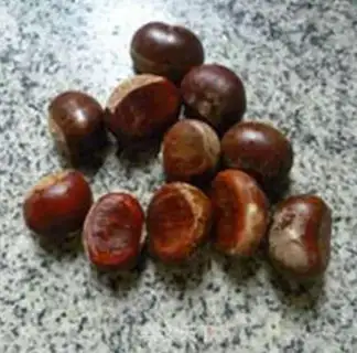 Make Tomato chestnut chop soup step 1