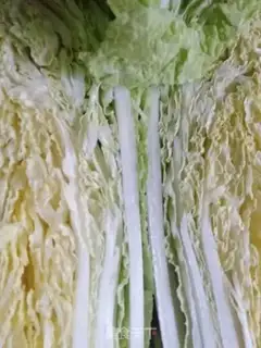Make Korean cabbage step 0