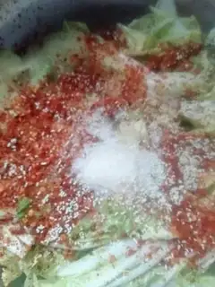 Make Korean cabbage step 8