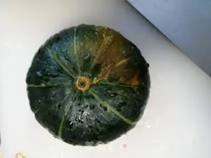 Make Steam melon step 0