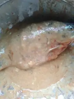 Make Scorch step 8