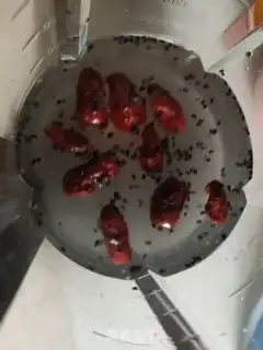 Make A grain of grain step 2