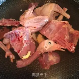 Make Red-tree pigeon soup step 1