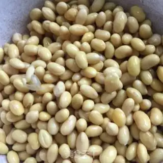 Make The soybeans step 2