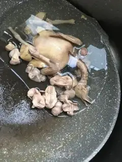 Make The Qishan Dove step 2
