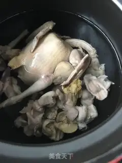Make The Qishan Dove step 3
