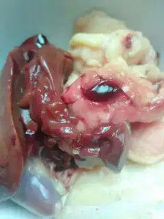 Make Worms and bouquets step 1
