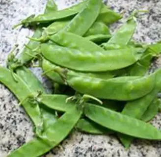 Make Dutch bean lily step 0
