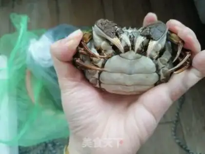 Make Self-absorbed crabs step 1