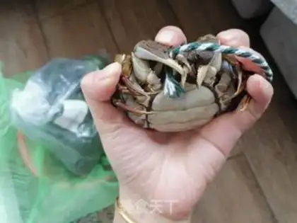 Make Self-absorbed crabs step 2