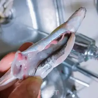 Make Fried fish step 3