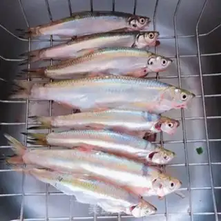 Make Fried fish step 5