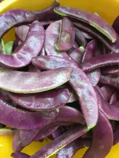 Make ♪ Donkey twirling beans ♪ step 0