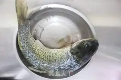 Make One fish and four step 1