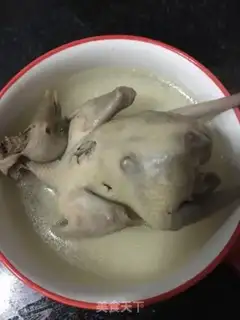 Make Cracking pigeons step 4