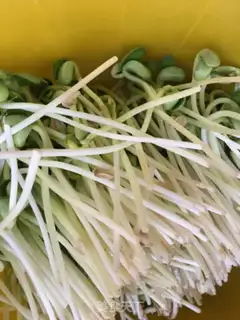Make Precious peppers and yellow flowers step 4