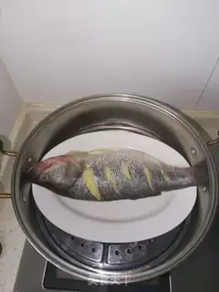 Make Vacuate herring step 2