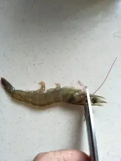 Make Salt shrimp step 0
