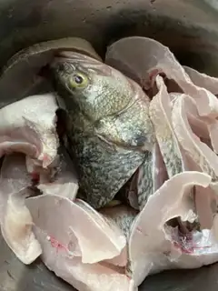 Make Pelican step 0