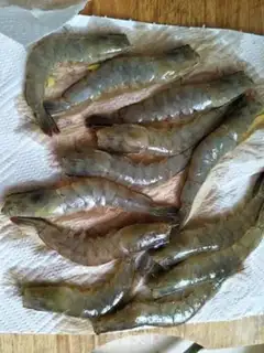 Make Salt shrimp step 4