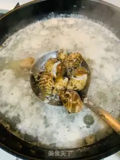 Make The white snail step 2