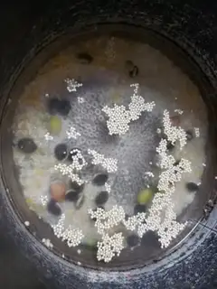 Make Quinoma meringue step 2