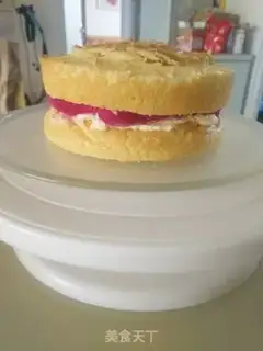 Make Pony flower embroidery cake step 21