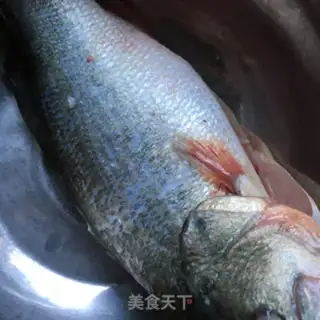 Make Scratch pepper follicles steam carp step 1