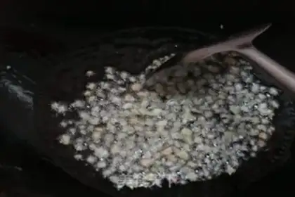 Make Garlic fried meat step 4