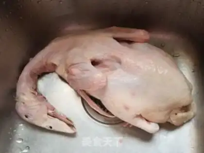 Make Duck step 0