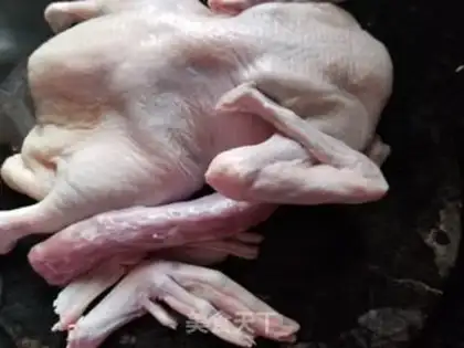 Make Duck step 1