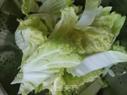 Make Cook the cabbage step 0