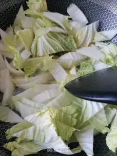Make Cook the cabbage step 2