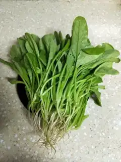 Make Shrimp radish step 0