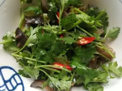 Make Collapse and sea cucumber step 8
