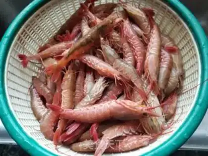 Make Shrimp step 0