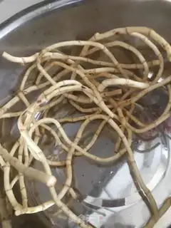 Make Fish and horses