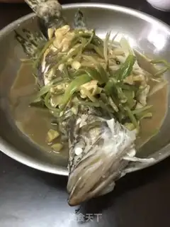 Make Protein radish step 2