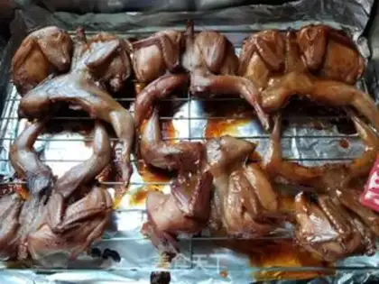 Make A quail of honey step 5