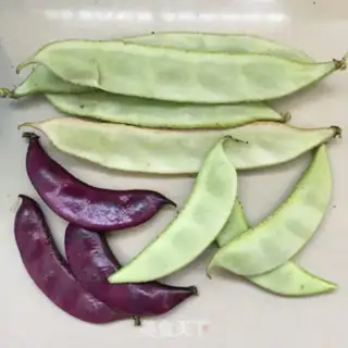 Make Bacon with white bean step 0