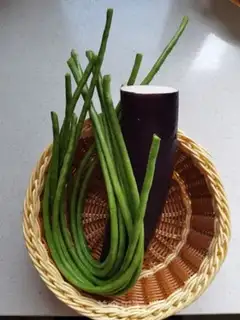 Make Soybeans for eggplant step 0