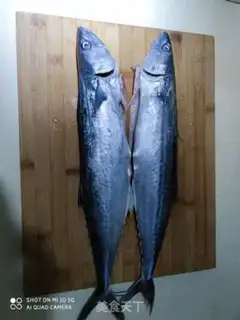 Make Squid cans step 0
